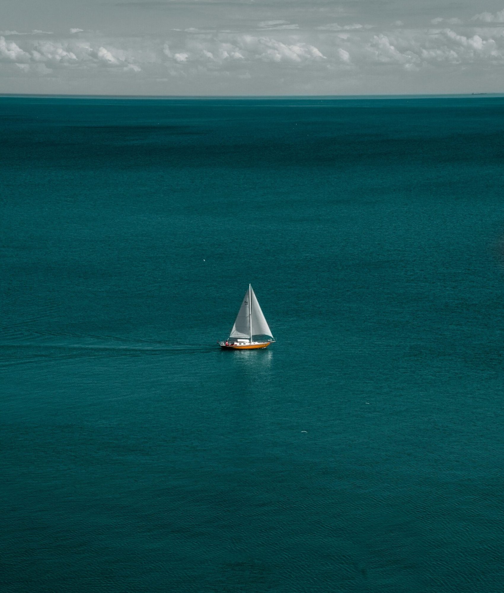 marcelo-cidrack-7jZNgIuJrCM-unsplash